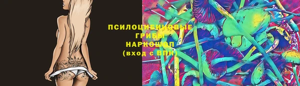 индика Лиски