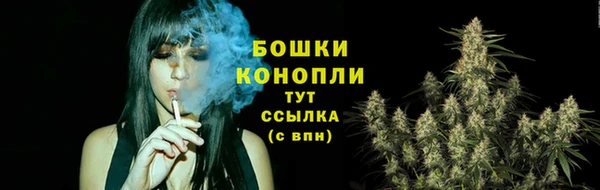 индика Лиски