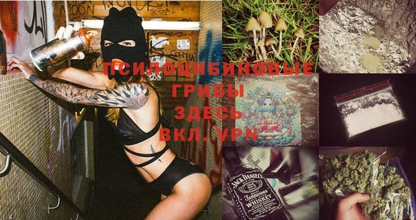 индика Лиски