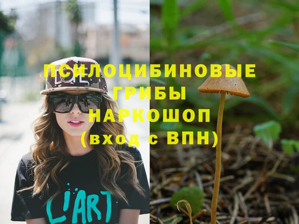 индика Лиски